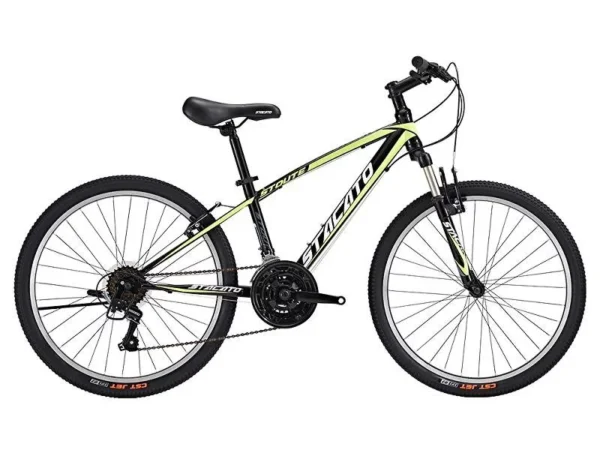 Bicicleta Montañera STOUTE Aro 24