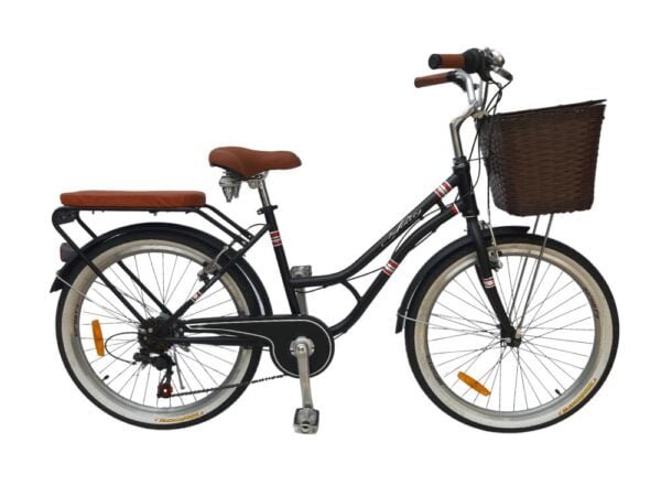 Bicicleta Infinity Vintage Negro Aro 24